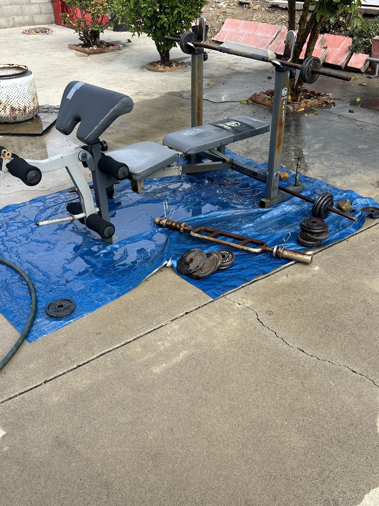 Bench Press With Weights
