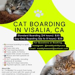 Cat Boarding in Visalia, CA