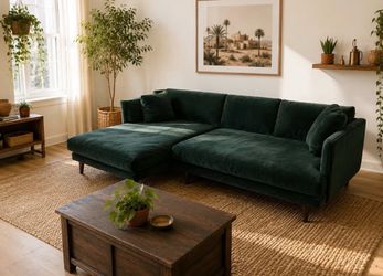 *Free Delivery!* Gorgeous Joybird Lewis Sectional