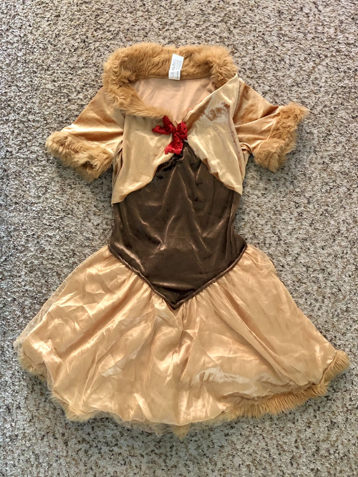 Womens / Teenager Lion Costume
