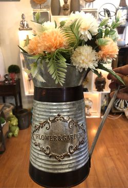 Water pitcher