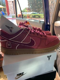 Nike Dunk low protro