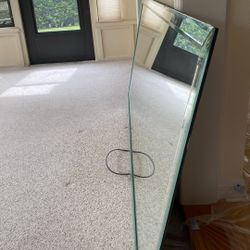 Vintage Carolina mirror 