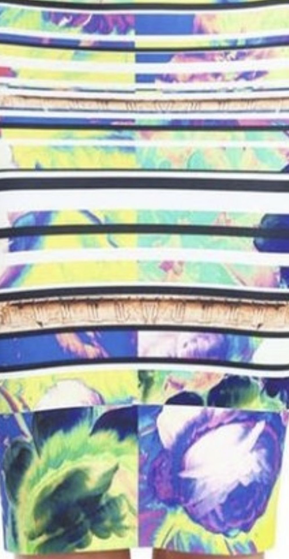 Acropolis Garden pencil skirt by Clover Canyon Size XS.