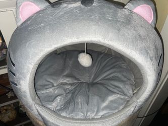 Cat Bed