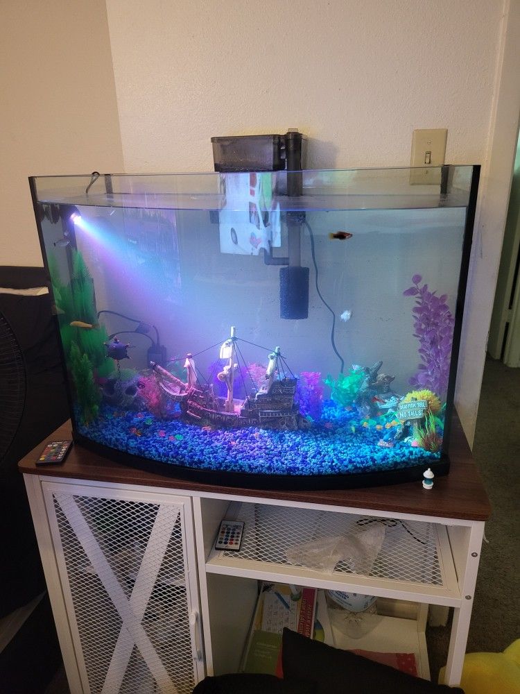 Fish Tank With A Stand