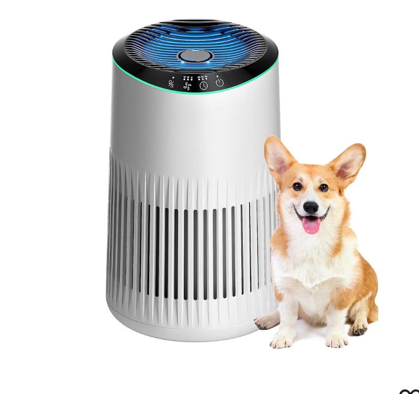 Air Purifiers for Bedroom Home, Air Purifier for Smoke Odors with Fragrance Sponge, Small Air Purifier with Sleep Mode for Bedroom Office, Blue Night