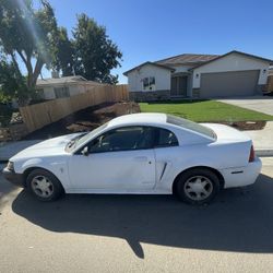 2000 Ford Mustang