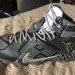 Lebron James Sneakers Used 