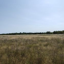 Land 70 Acres
