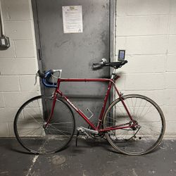 1972 Colnago Super  Size L