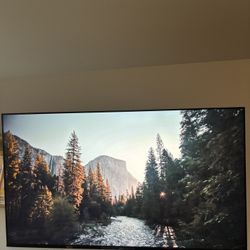 65 Inch Smart TV 