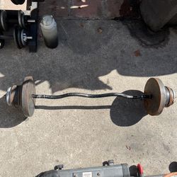 Standard Curved Barbell With Weights 