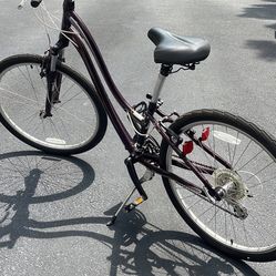 Schwinn Bicycle