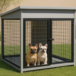Dog Kennel and Ollie Dog food to a good home