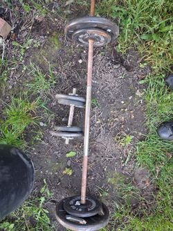 100lb weights, bar and dumbell