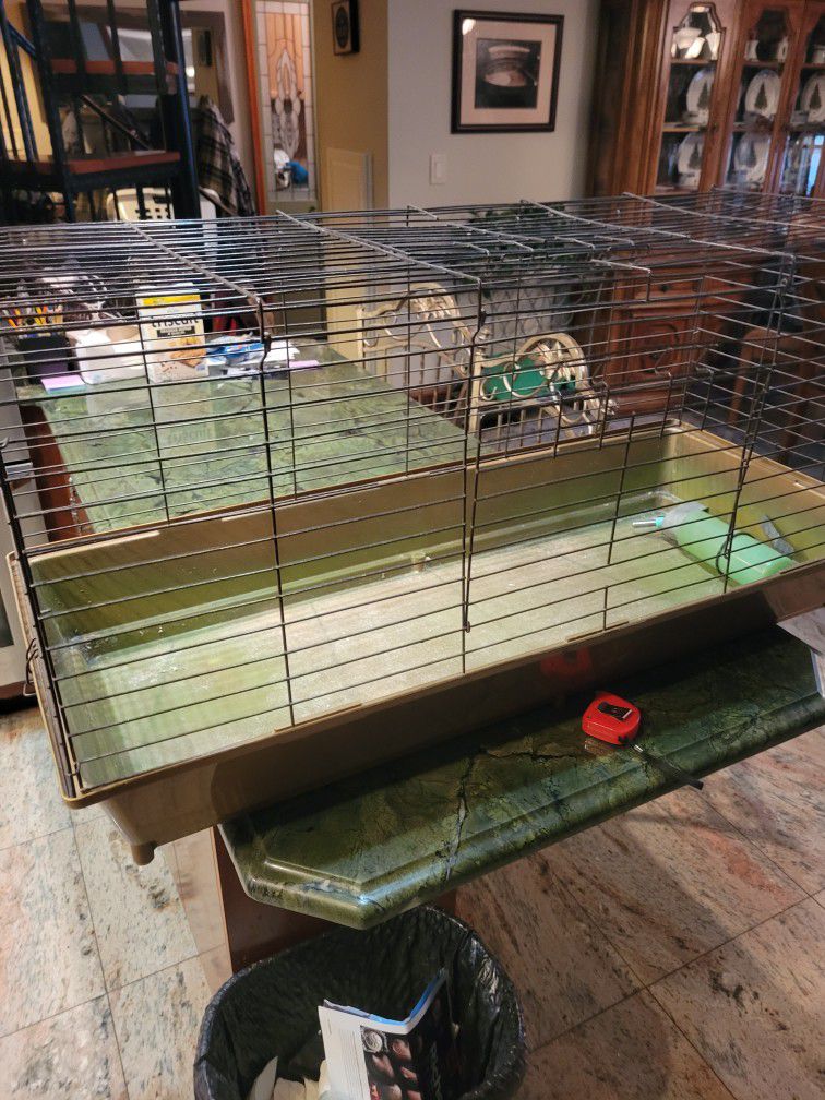 Guniea Pig Cage