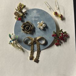 Set of 6 Brooches & 2 Pomegranate Earrings – Brand New 