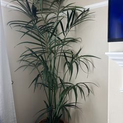 Tall Fake Tree