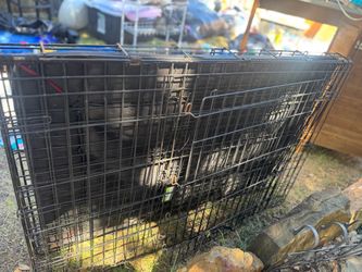 Large Wire Dog Crate with Divider