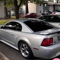 03 Stand Must Trade Mustang ASAP