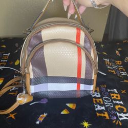 Purse/mini Backpack 