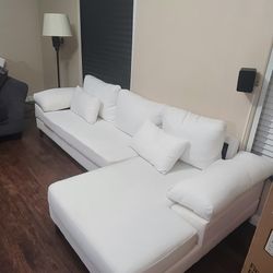 Modern Coach/Sectional