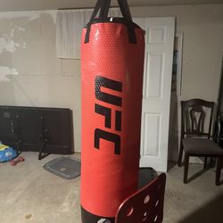 Punching Bag 