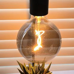 Table Lamp and Plant