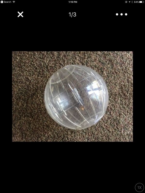 Large hamster ball