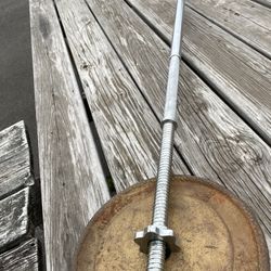 Straight Bar with Billard Plate Weights