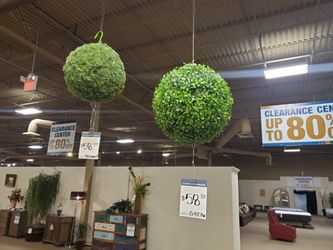 Small Yucca Plant Decór