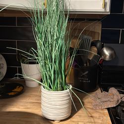 Fake Plant