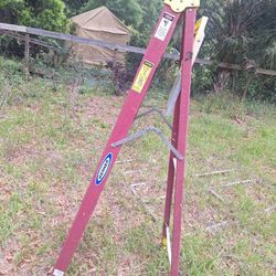 6' Fiberglass Ladder