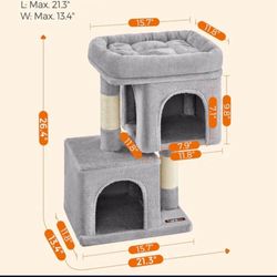 Cat Tree, Kitten Tree 