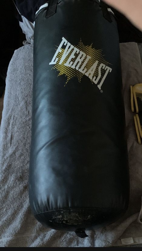 Everlast Punching Bag