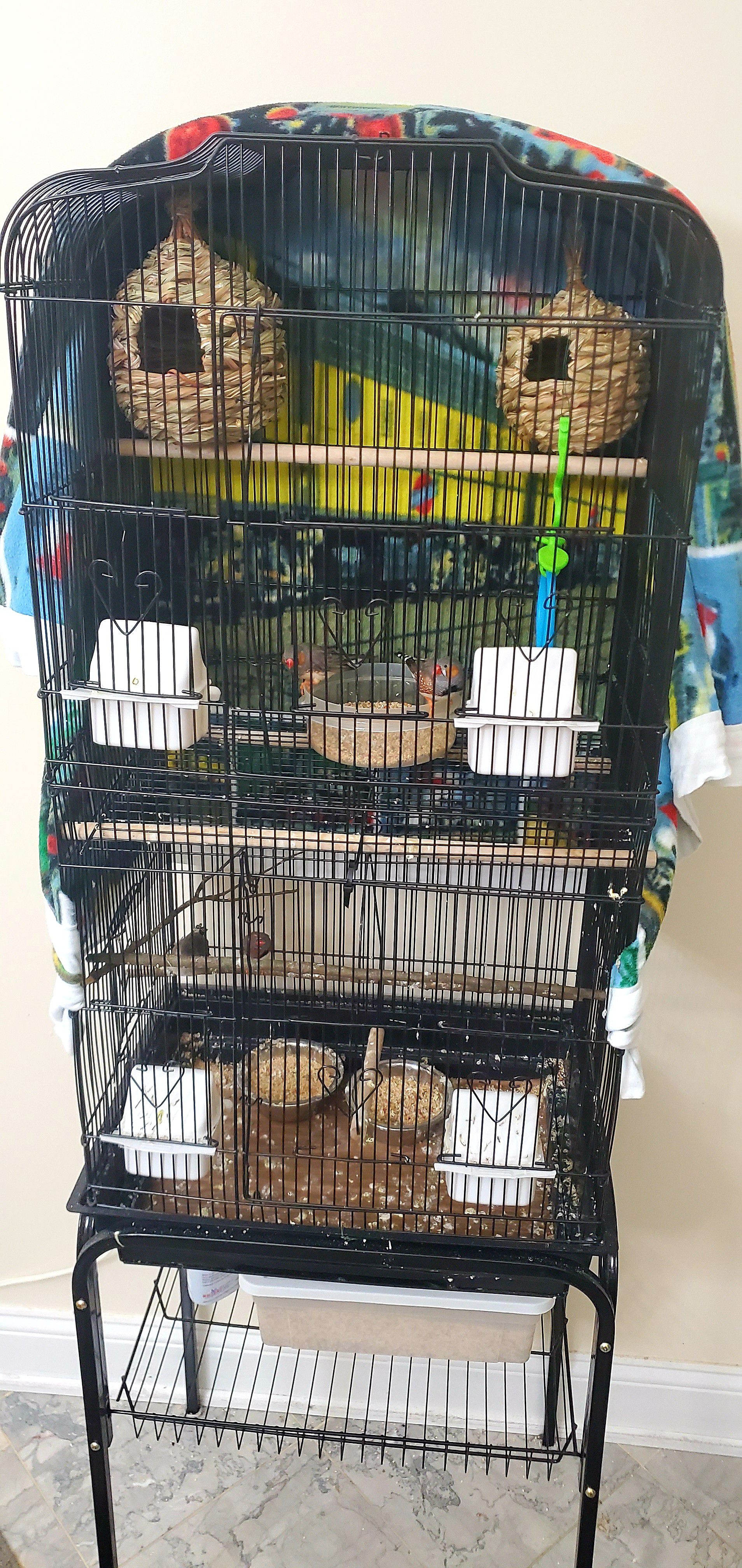 Bird cage w/ 3 finch
