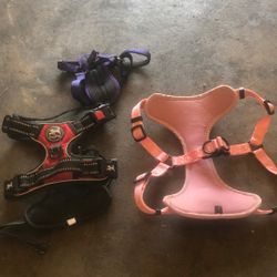 Dog Wear Kit