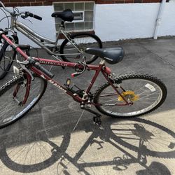 3 Bikes 