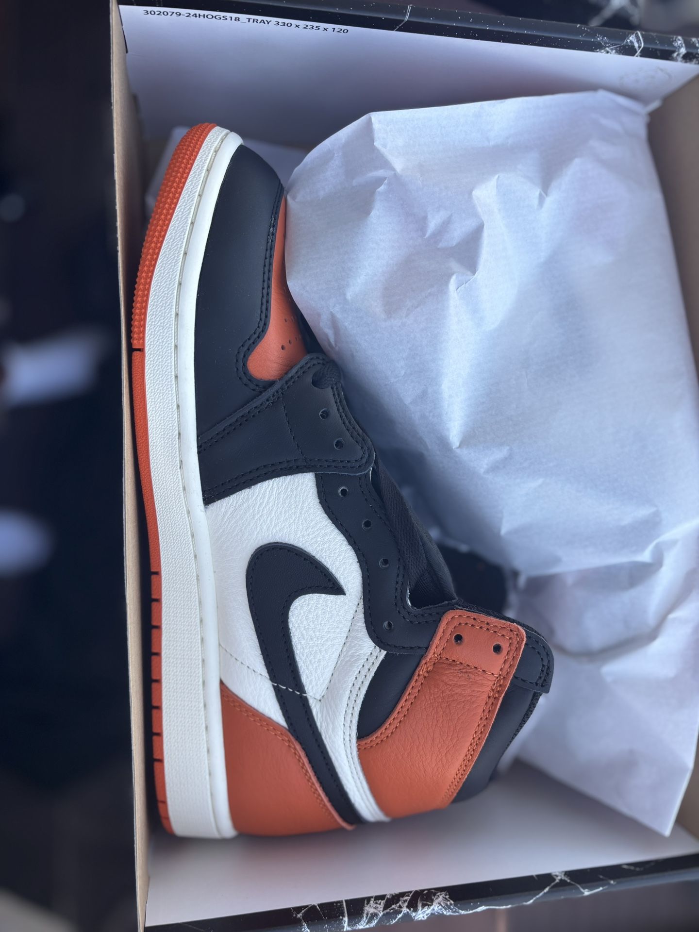 New Jordan 1 Shattered Backboards