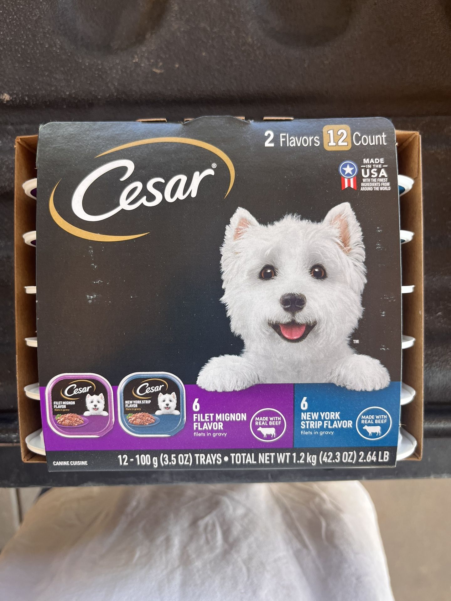 Cesar Filets in Gravy Adult Wet Dog Food, Filet Mignon and New York Strip Flavors Variety Pack, 3.5