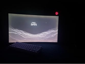 Gaming monitor