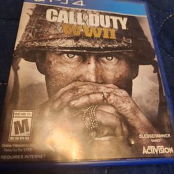 Call Of Duty Ww11 Ps4 