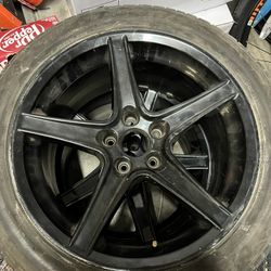 Saleen Reps 