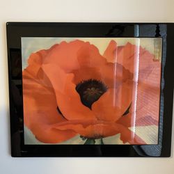 Georgia OKeeffe Part Abstract Part Realistic in Black Gloss Lacquered Frame Wall Art 33x28”