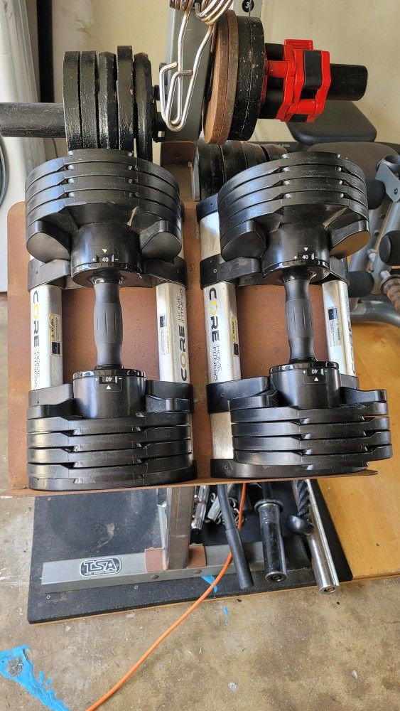 600lbs Of Olympic Weights + Core Fitness Dumbbells With Tree Stand