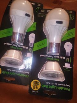 Portable Light Bulb Bundle.