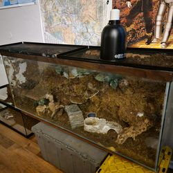 55 gallon Terrarium with custom background