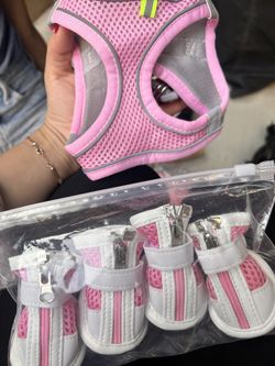 Small Puppy Vest And Shows 