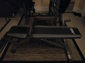 Squat RACK, Bench & Plates NEW 